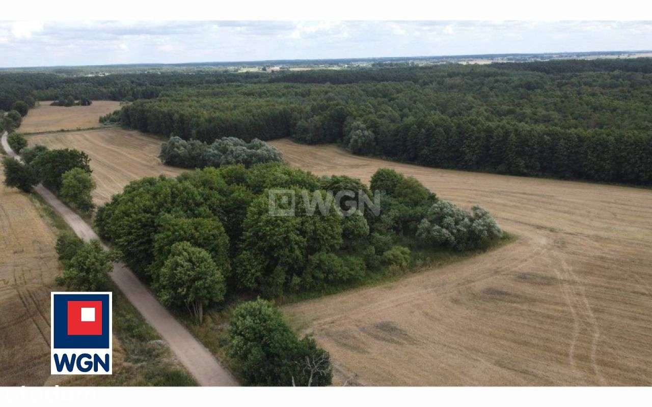 Działka, 3 532 m², Konojady - Pełny obrazek: 2/12