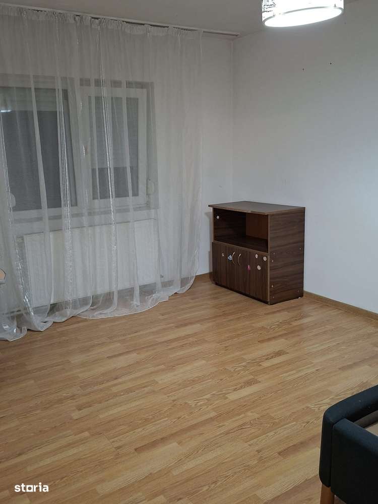 Apartament Craiovița-9