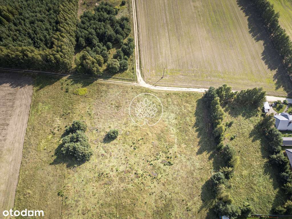 Sztos przy jeziorze - Pełny obrazek: 5/7