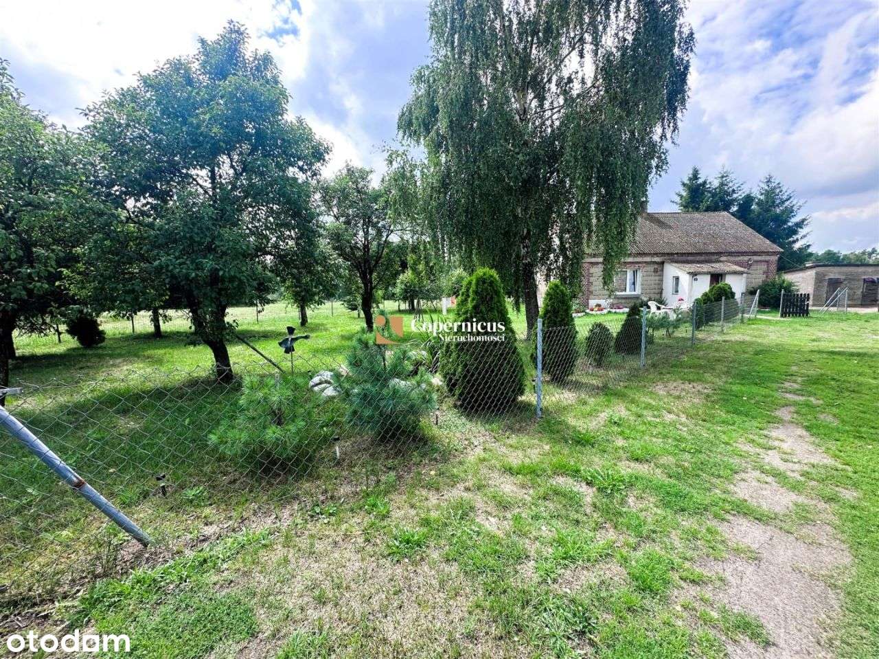 Grunt-6 ha z domem i budynkami,gm.Skępe,potencjał-9