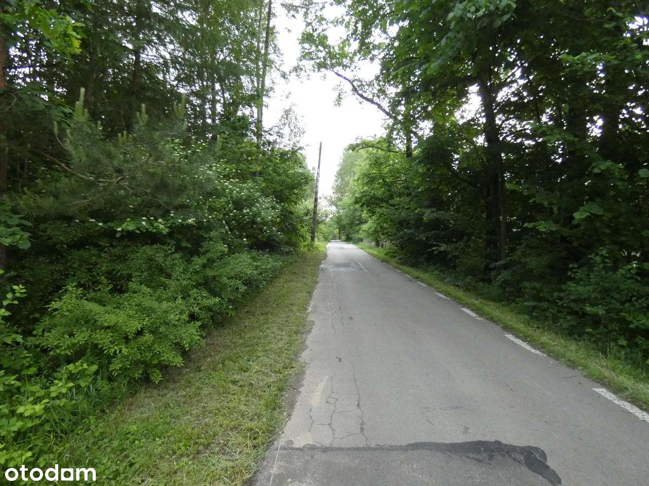 Zrębice gm.Olsztyn 0,375.ha , 1.2ha-0