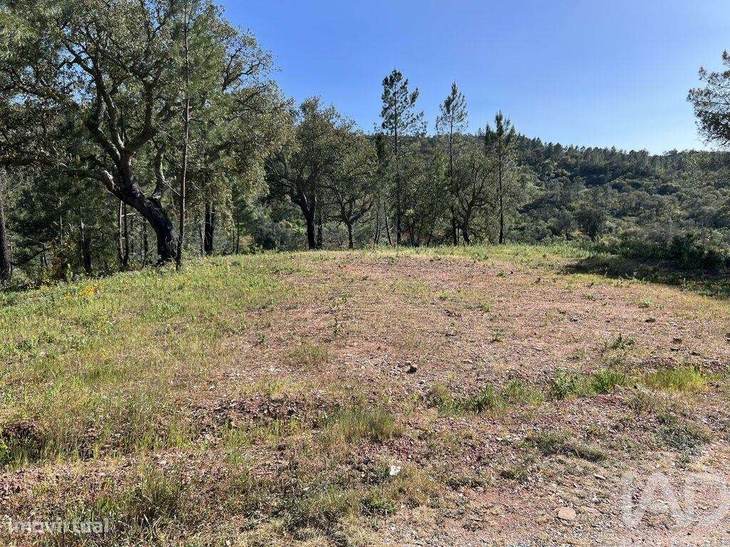 Terreno em Querença, Tôr e Benafim de 1580,00 m2 - Grande imagem: 2/9