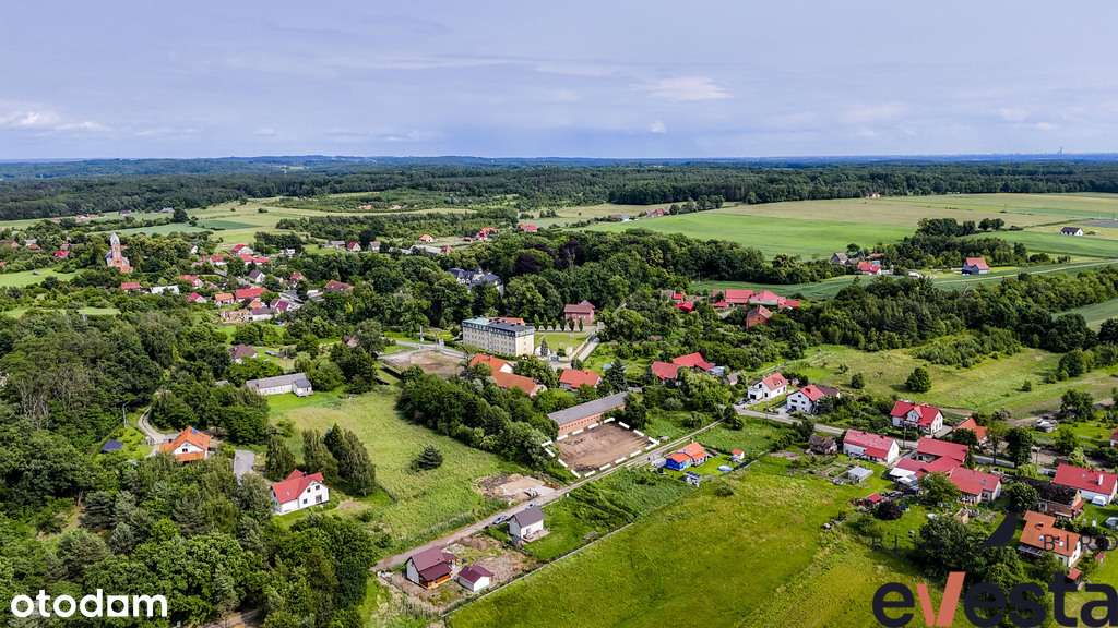 Działka Bagno 961 m2 | obok lasu | cisza i natura - Pełny obrazek: 4/8