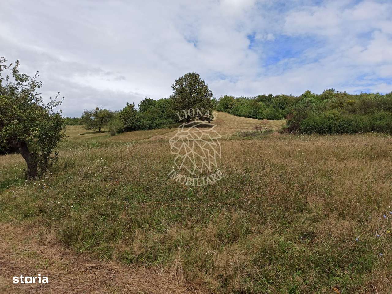 Teren 5200 mp-ideal cabane, case de vacante, agricultura-Livezile - Imagine principală: 1/3