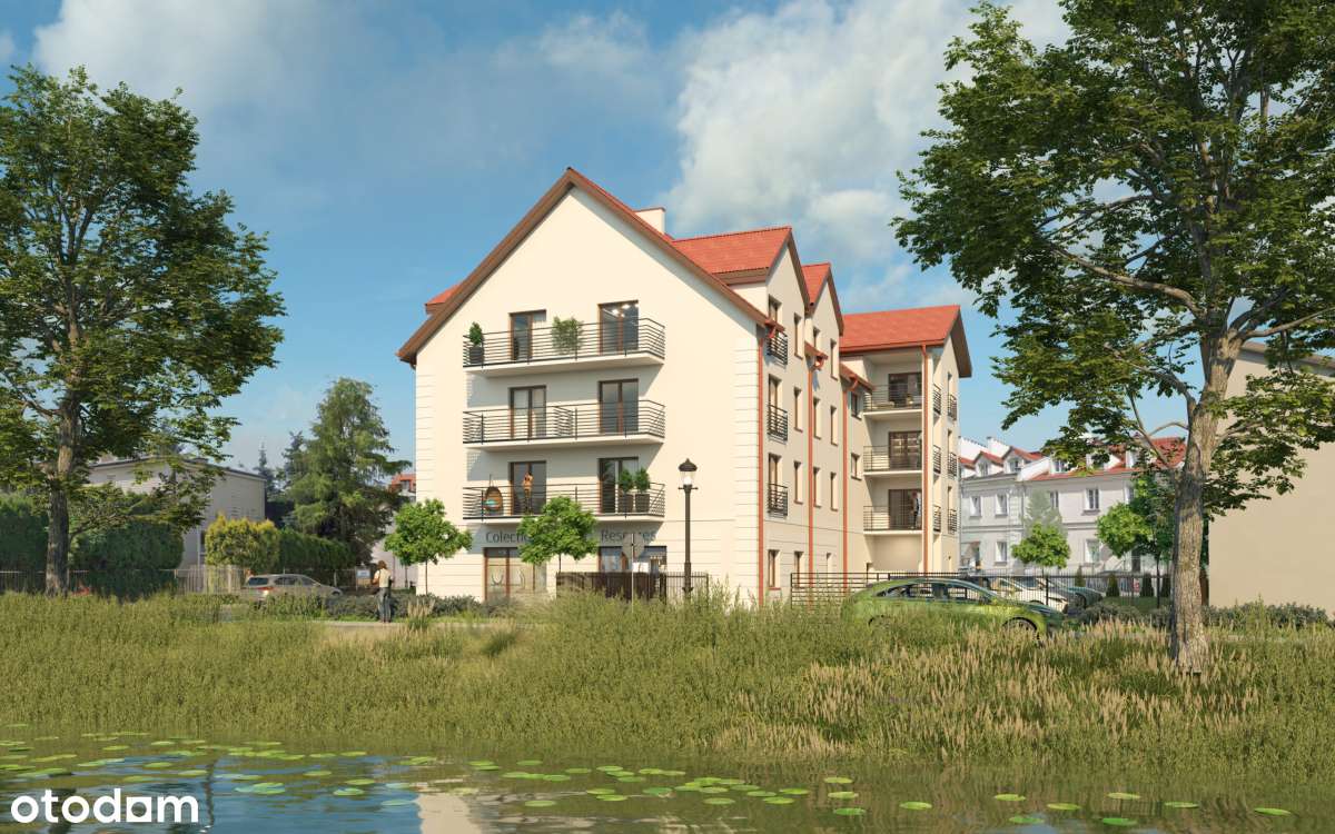 Kamienica Rybitew 3-1