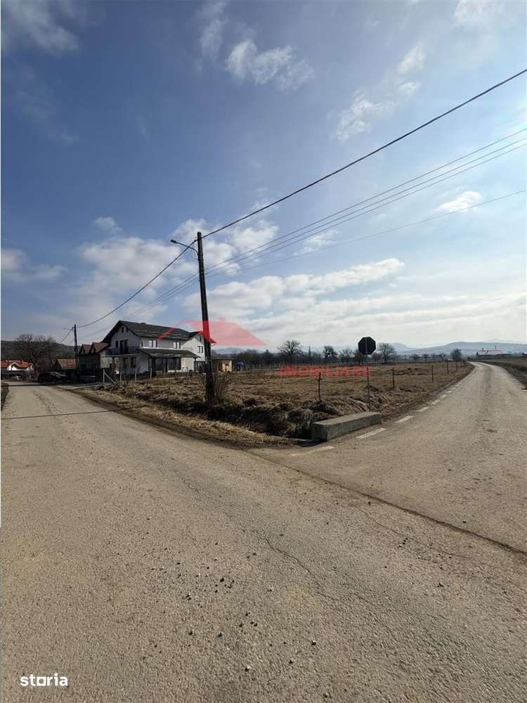 Teren intravilan 17 ari, Dorolea - Imagine principală: 4/6
