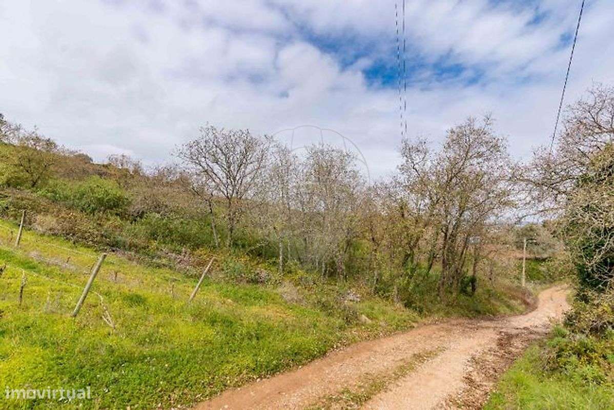 Terreno  para venda-5