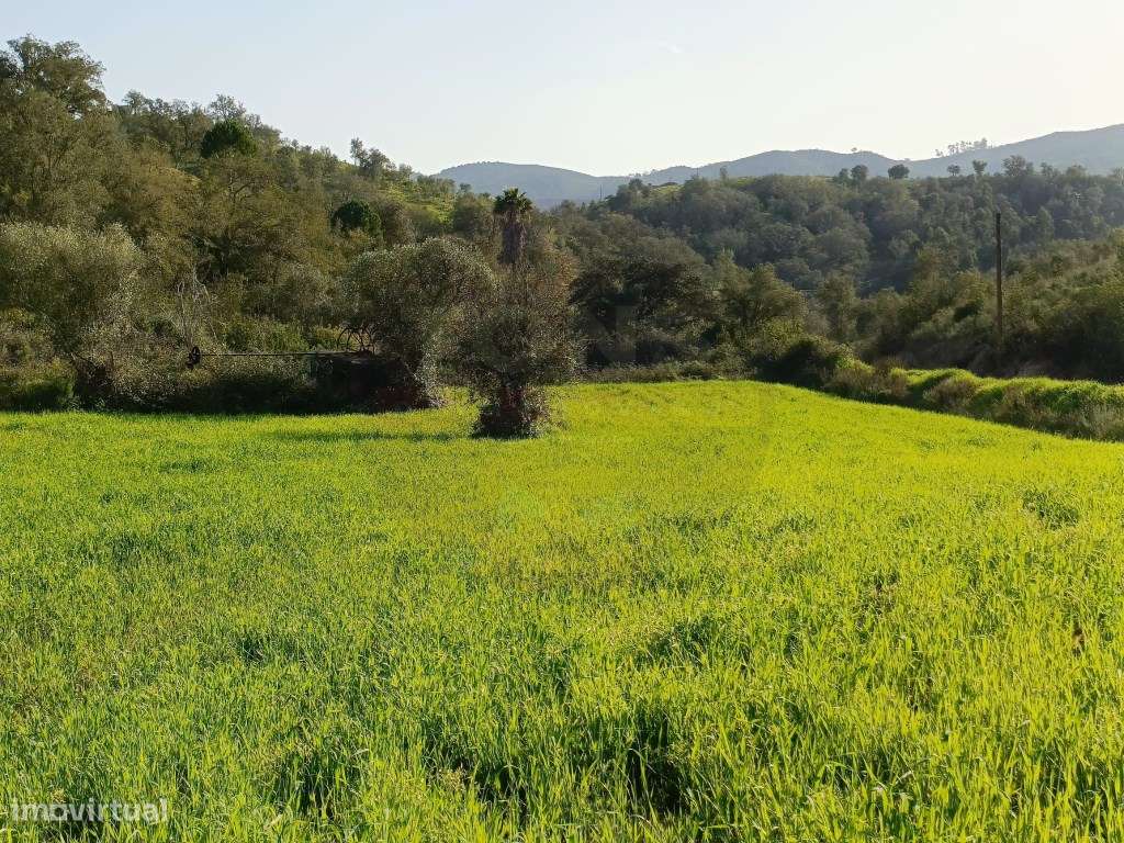 Terreno Misto com 2 Hectares em São Marcos da Serra, Silves - Grande imagem: 5/17