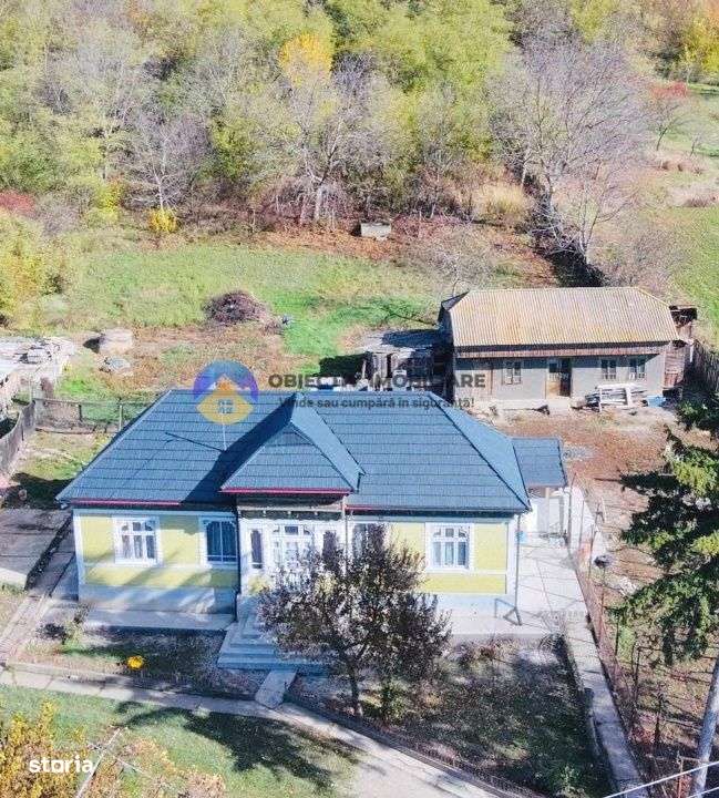 2 CASE de POVESTE intr-o zona linistita + teren 3600 mp - COSTIȘA - Imagine principală: 1/16
