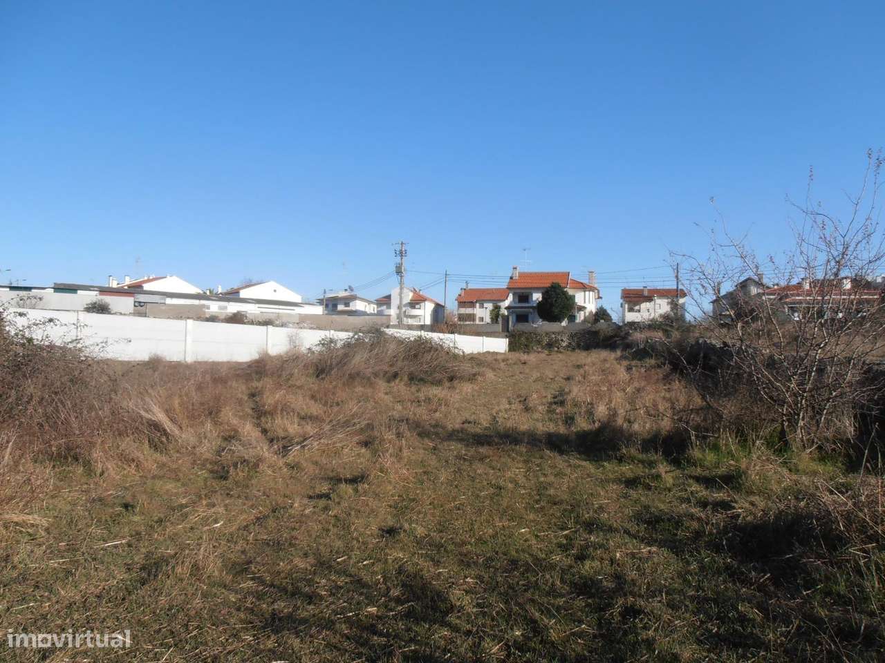 Quinta-8