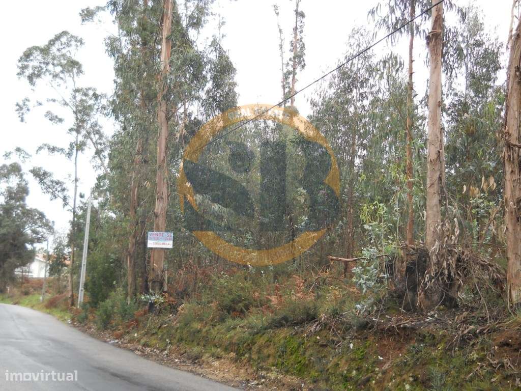 Terreno em Vila de Cucujães - Grande imagem: 2/3