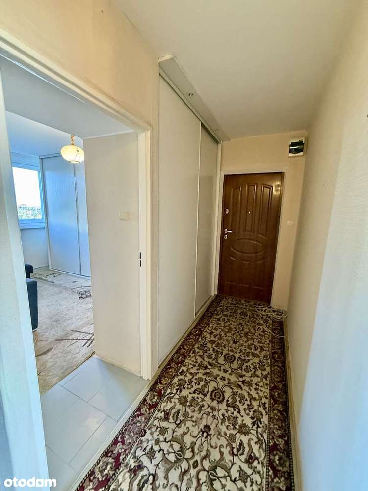 Na sprzedaż 41m2 - Jelenia przy Magnolii/rozkład/balkon:-5