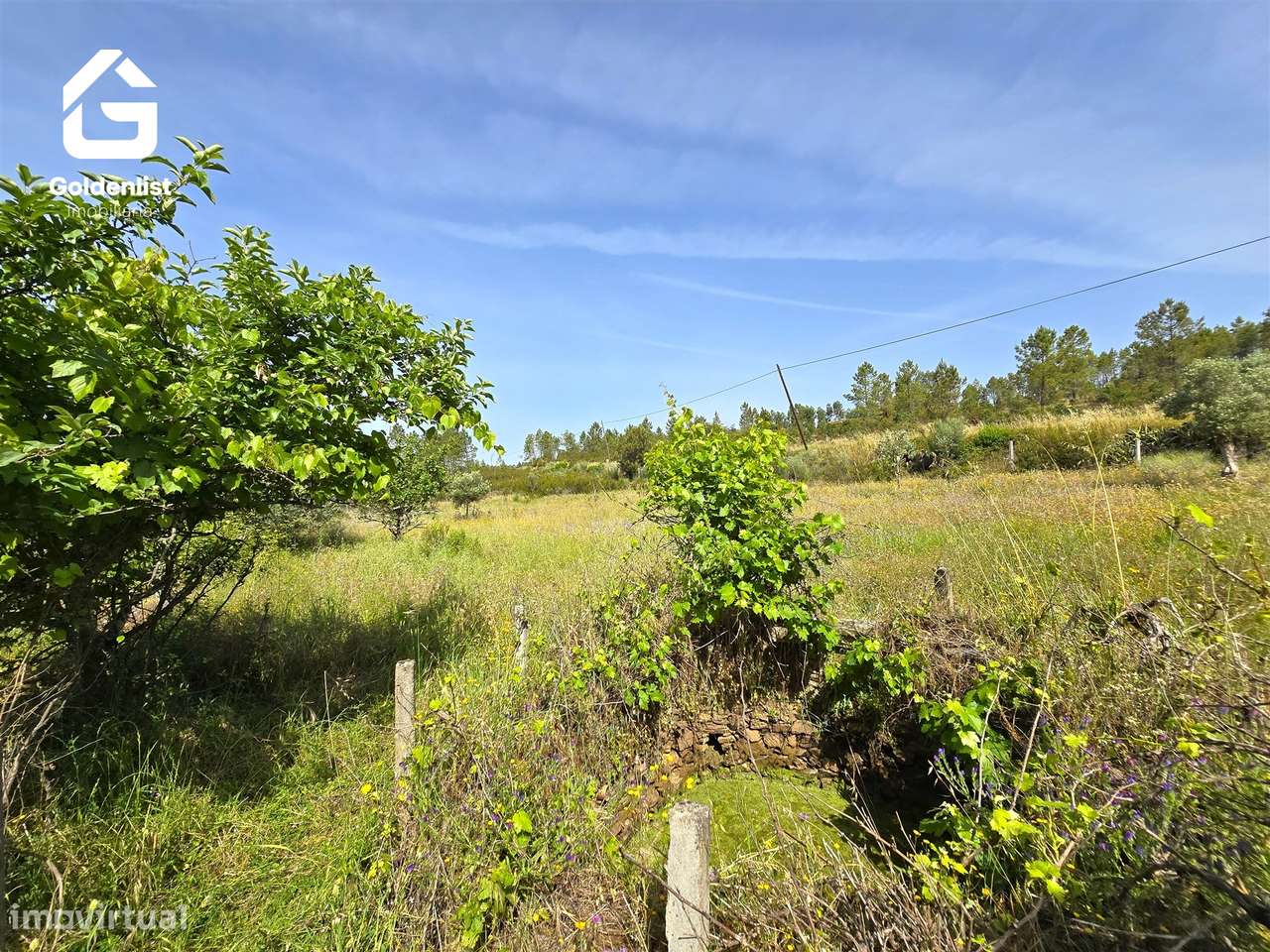 Quinta  Venda em Sarnadas de Ródão,Vila Velha de Ródão-30
