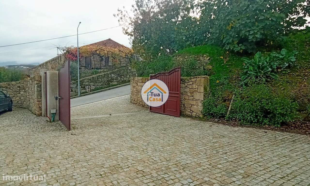 Quinta com 16 Ha em Lamego, Douro - Grande imagem: 4/44