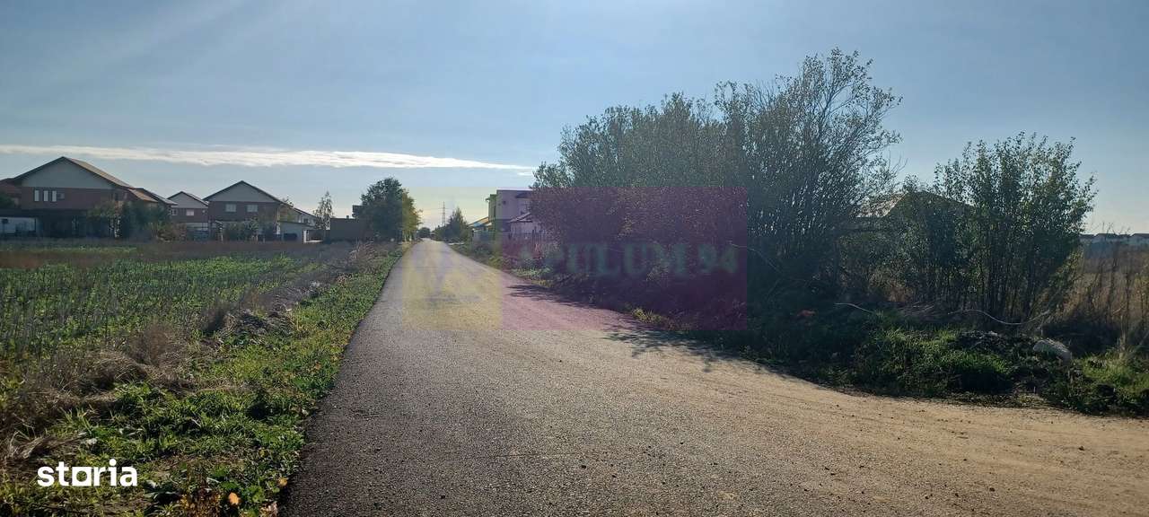 Săbăreni, teren rezidential 6290 mp, cu 52m FS, utilitati in apropiere - Imagine principală: 5/5