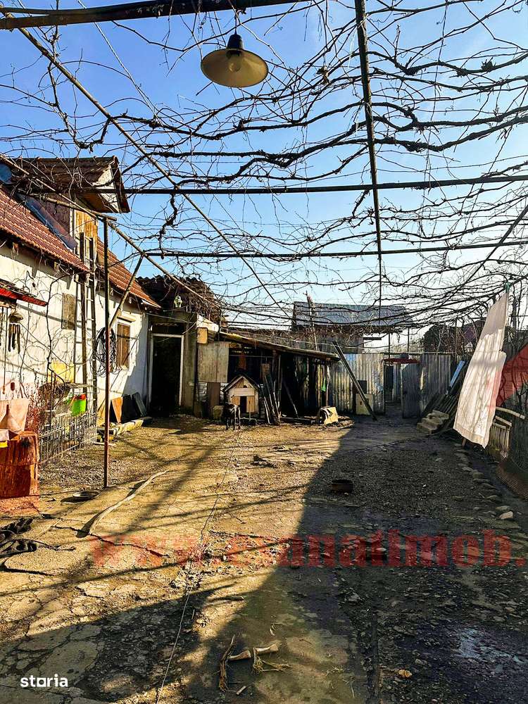 Casa in Bradu | 700 mp Teren | Acces Asfalt | Oportunitate Excelenta-18