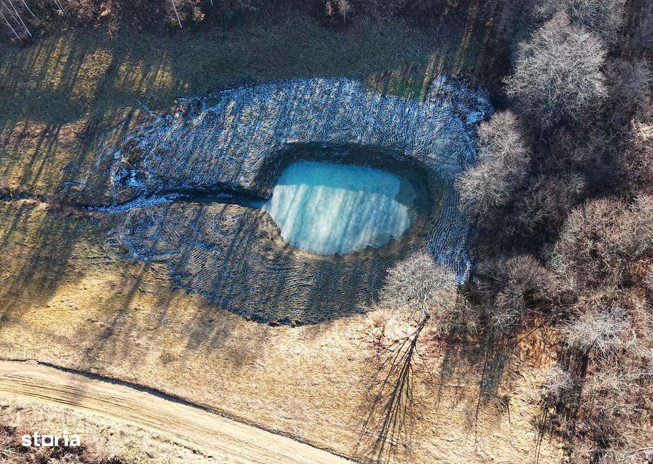 Teren pasune si padure 2,4ha-5