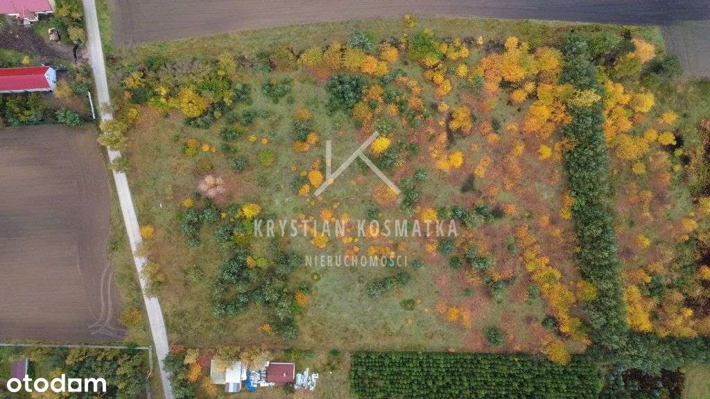Mierzynek działka na sprzedaż-1