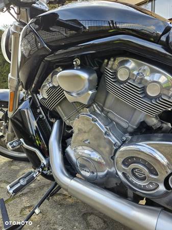 Harley-Davidson V-Rod Muscle - 8