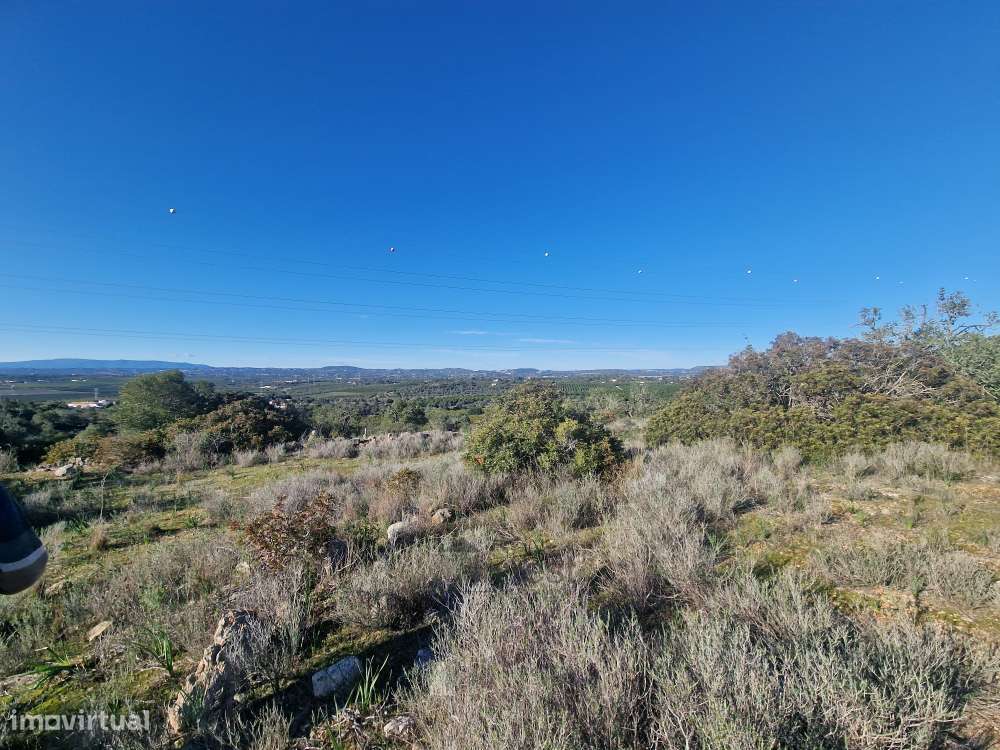 Terreno Misto com Projeto Aprovado e Licenciado - Tunes-21