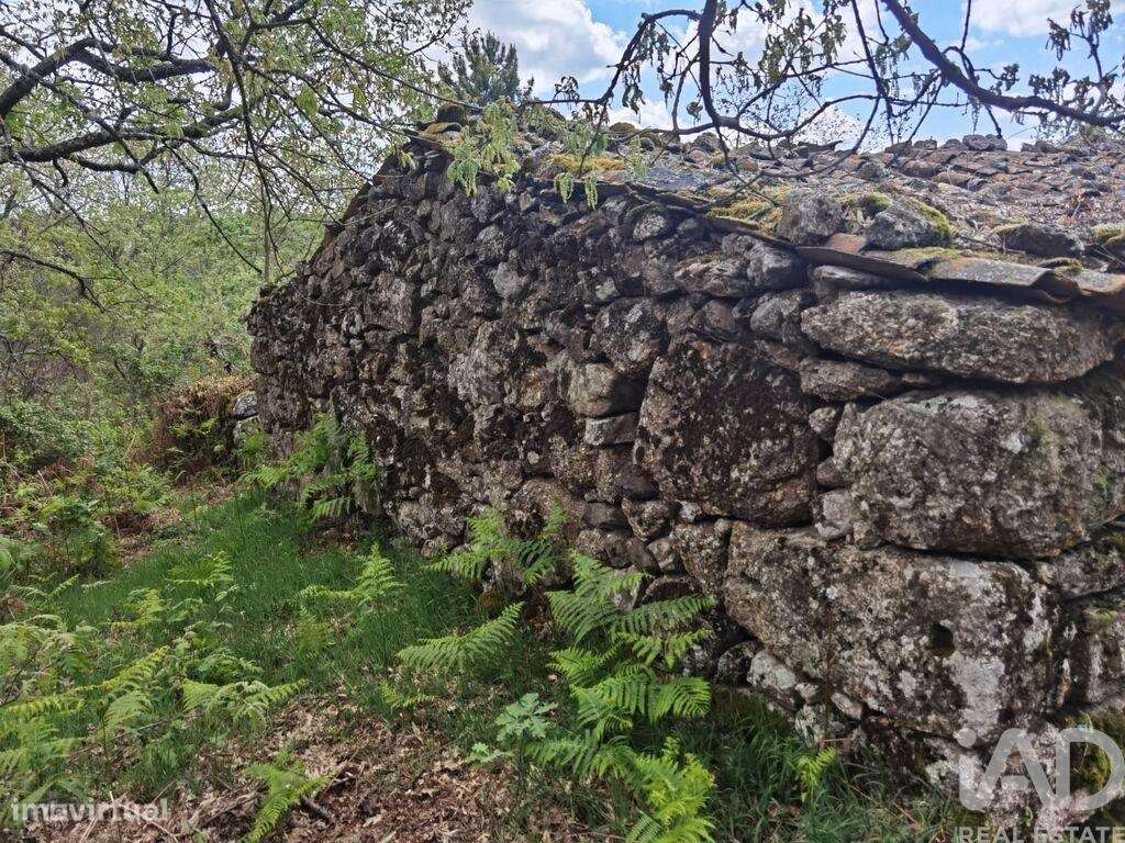 Casa de Campo em Aldeias e Mangualde da Serra de 40,00 m2 - Grande imagem: 4/27
