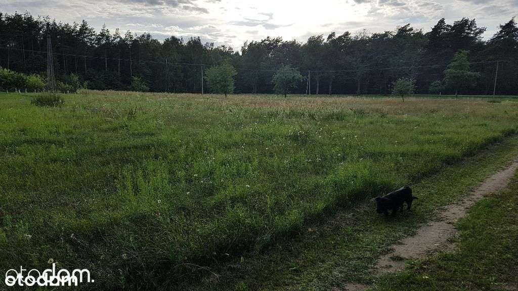 Działka budowlana Dreglin 6711m2-6