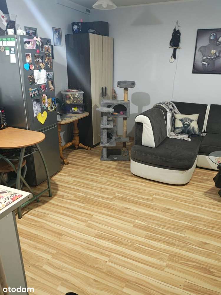 2 pokoje, wejście z zera, idealne miejsce pod gabinet-2