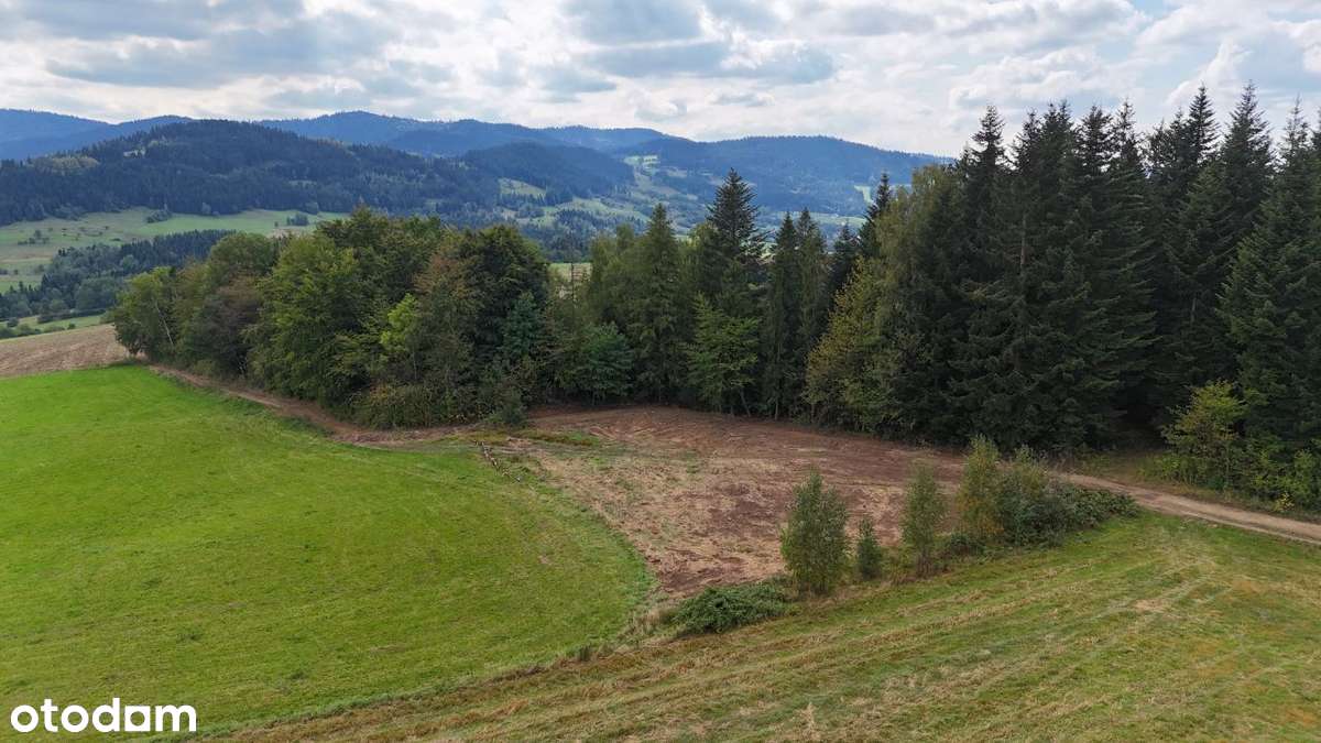 Widokowa działka w Porębie Wielkiej - Pełny obrazek: 4/8