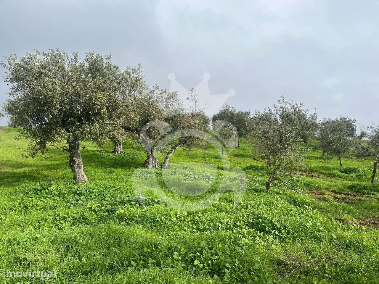 Terreno à venda – 8.500 m² em Alqueva - Grande imagem: 4/21