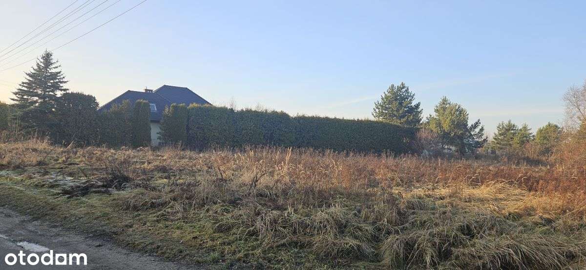 Chróstnik, gm. Lubin, powiat lubiński-5