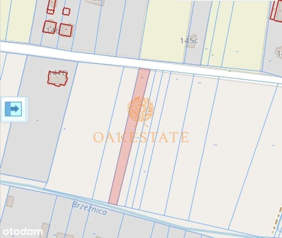 Atrakcyjna działka 3000m2 Piaski gm Jędrzejów. - Pełny obrazek: 4/6