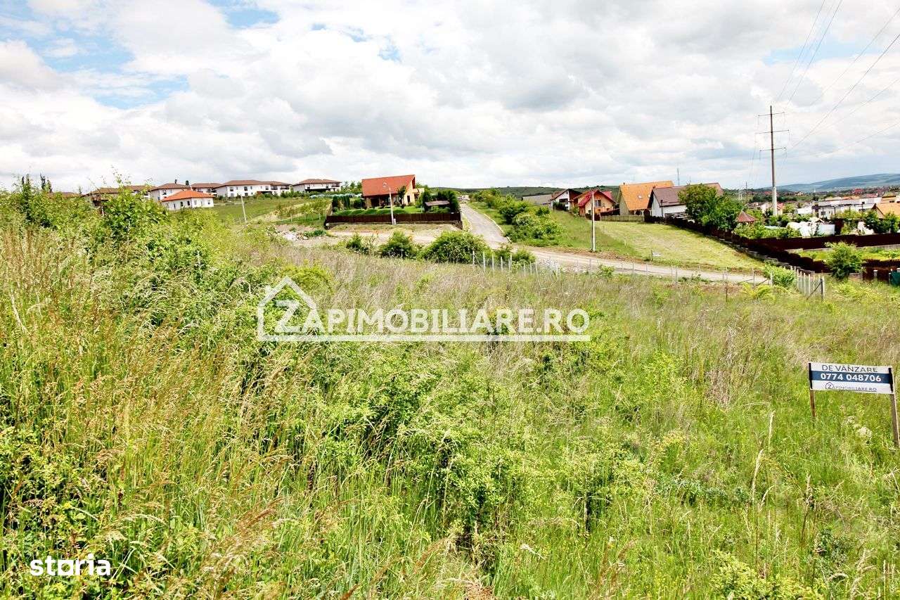 Teren 1.300 mp. 58 euro mp. zona Unirii Târgu Mureș-3