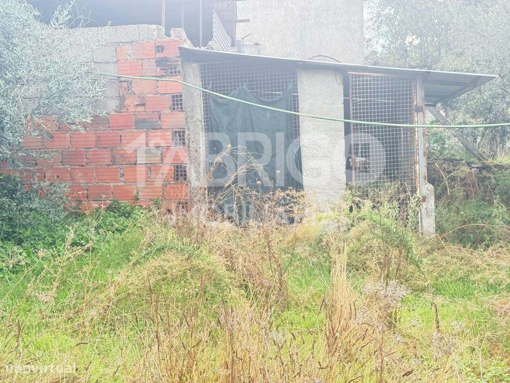 Casa para reconstrução em Pedrógão Grande-9