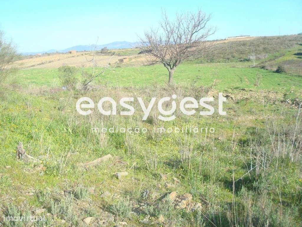 Terreno rústico de 7812 m2 - Grande imagem: 3/7