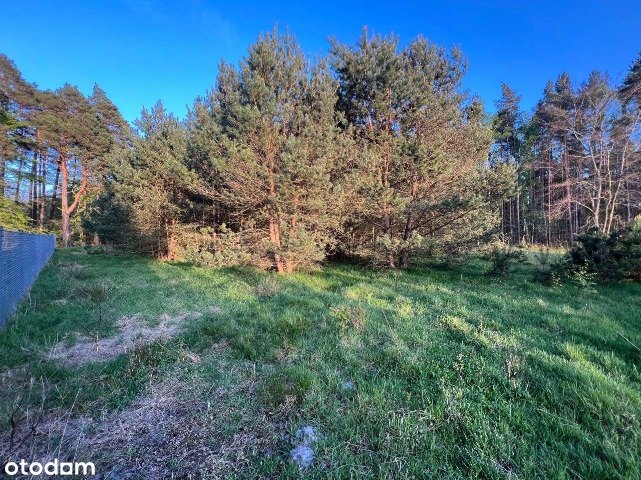 Działka 1706 m.kw. w Lubiatowie, Top lokalizacja! - Pełny obrazek: 5/8