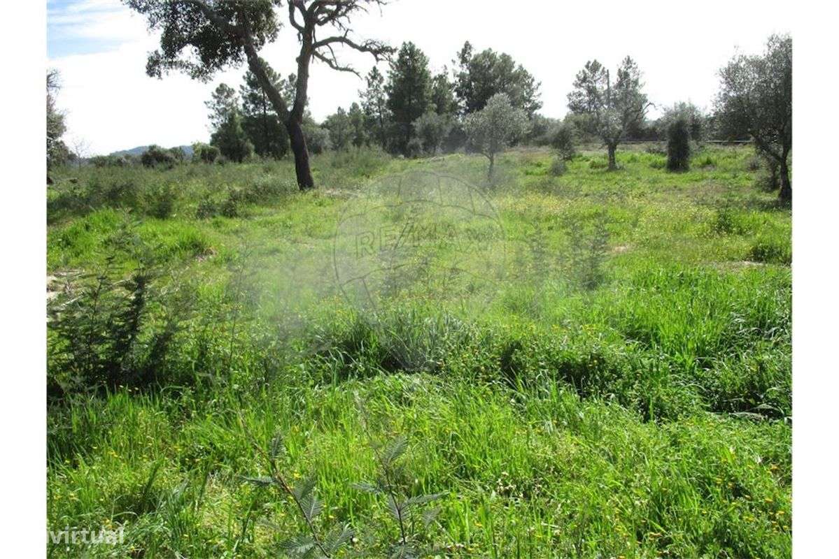 Quinta T0 para venda - Grande imagem: 3/35