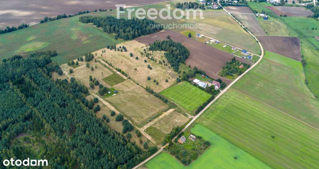 Działki pod budowę Szkotowo - Pełny obrazek: 4/20