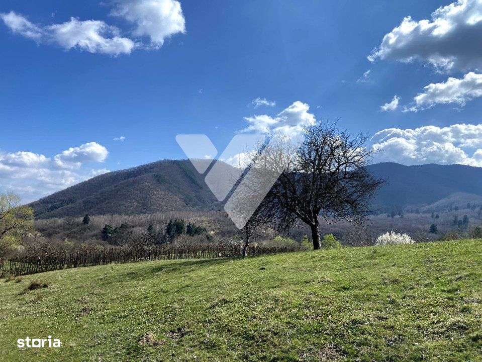 Teren Extravilan de 6630 mp - Cisnadioara - Imagine principală: 2/7