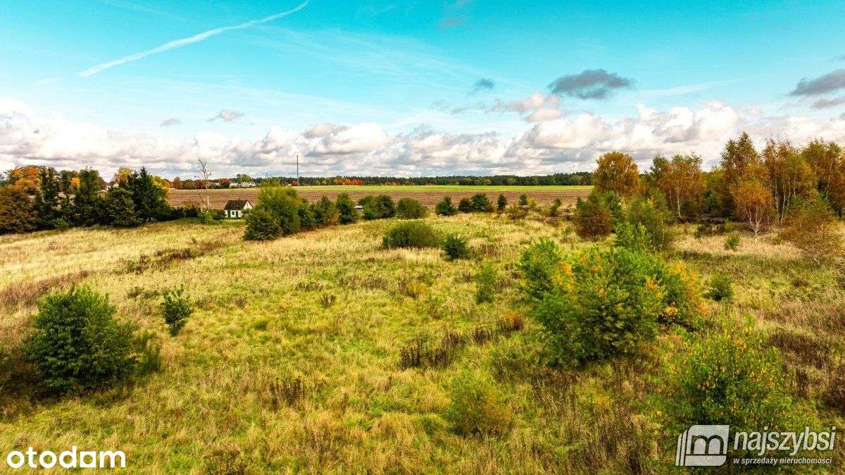 Nowogard - działka 1,0495ha - Pełny obrazek: 4/8