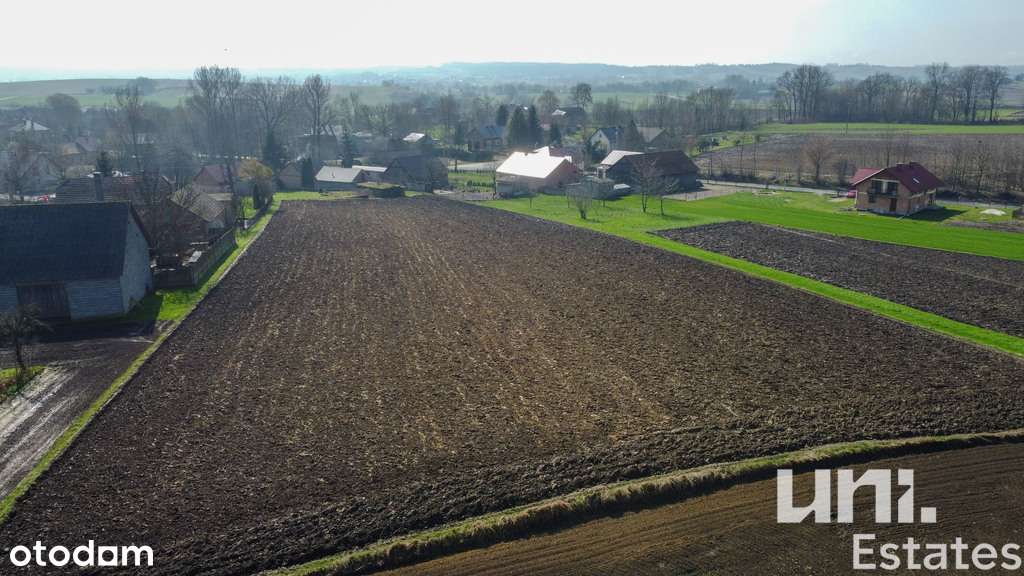 80 arów| Trątnowice| Duży potencjał - Pełny obrazek: 5/8