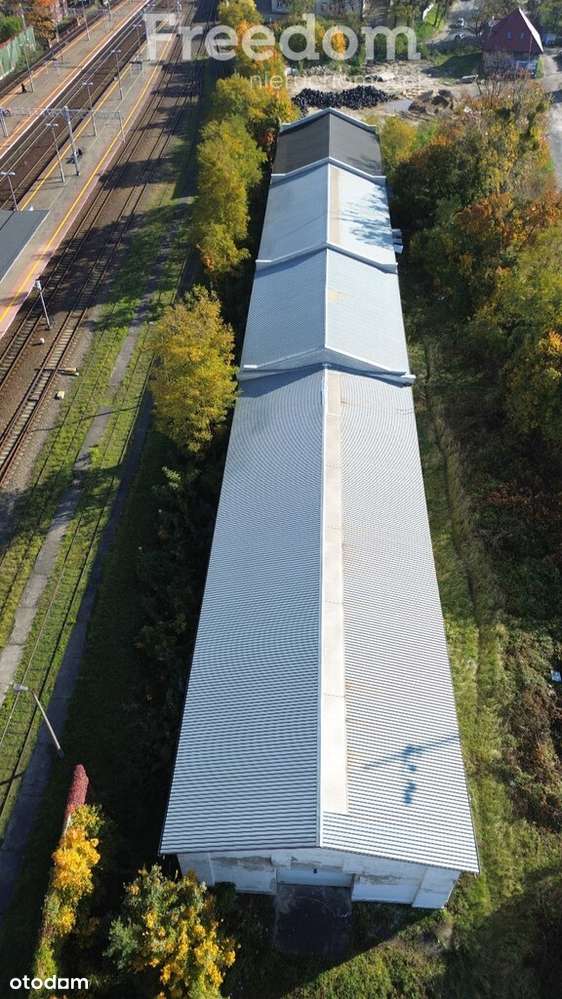 Hala magazynowa 1176m2 - Pełny obrazek: 4/12