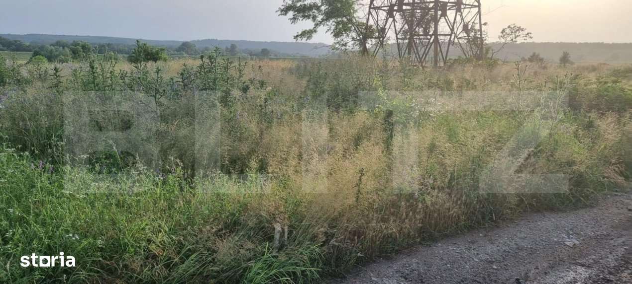 Teren extravilan, zona industriala, 3300 mp - Imagine principală: 3/4