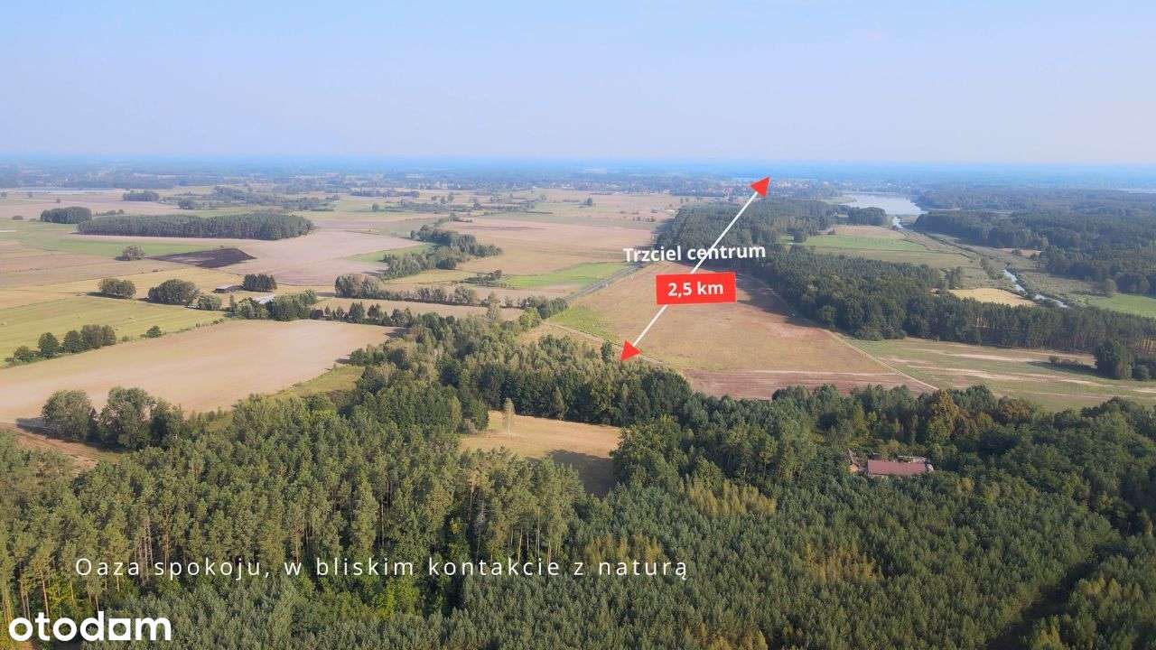 Piękne Działki Budowlane w Gminie Trzciel! - Pełny obrazek: 5/18