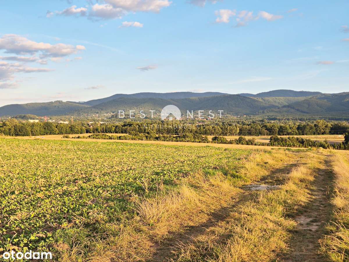 Atrakcyjne działki w Jasienicy, pod wymarzony dom - Pełny obrazek: 2/6
