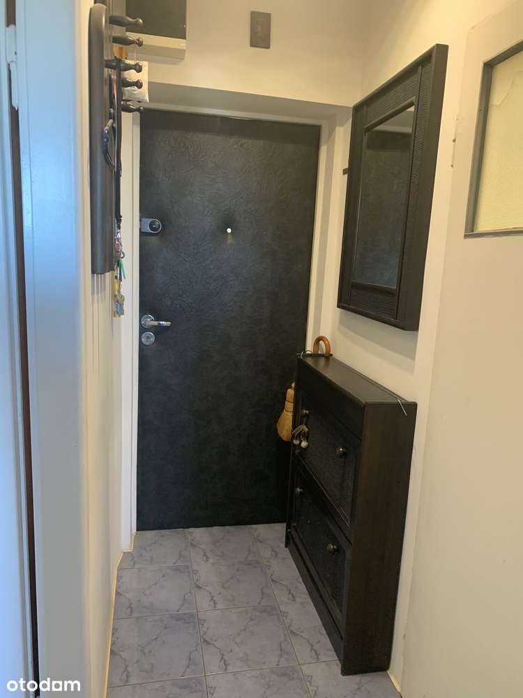 1-pok 29 m2 centrum Leszna / Bezpośrednio - Pełny obrazek: 5/15