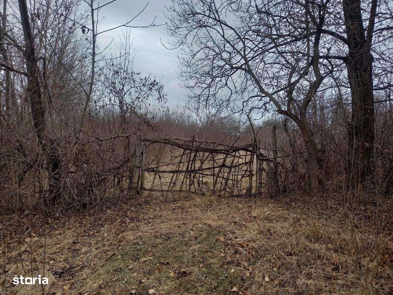 Calinesti - teren intravilan - 4329mp - 10 Euro/mp Neg. - Imagine principală: 5/7