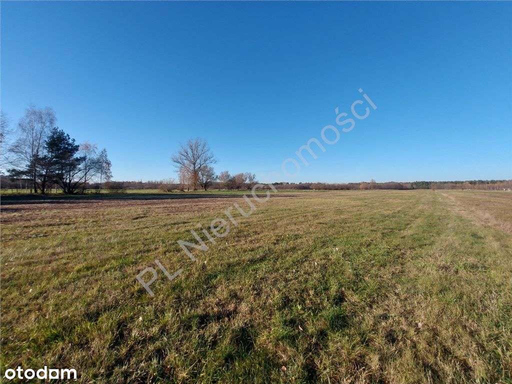 Cisza Przestrzeń Zieleń - Pełny obrazek: 4/11