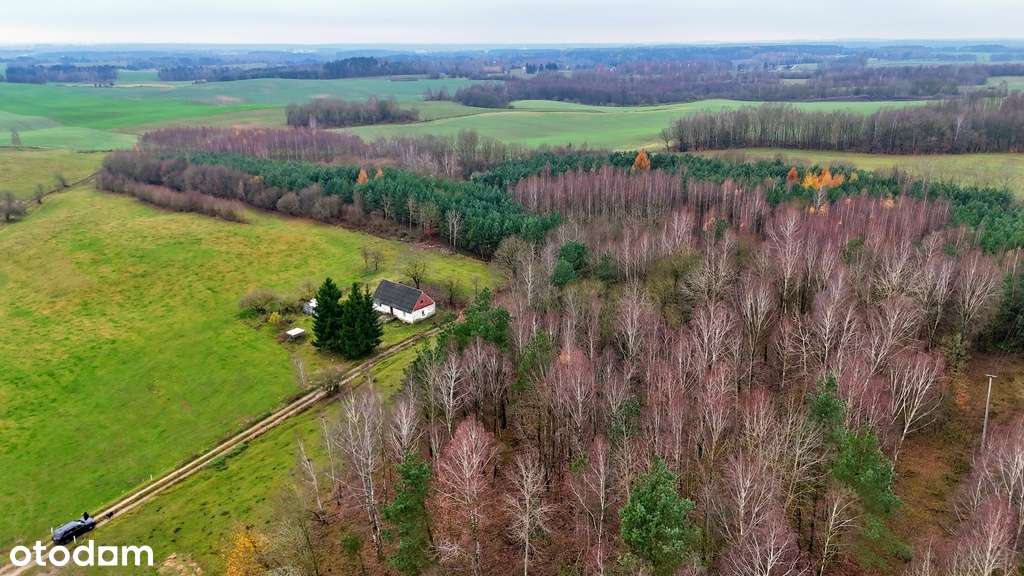 Działka 1665m2 z domem do całkowitego remontu - Pełny obrazek: 4/8