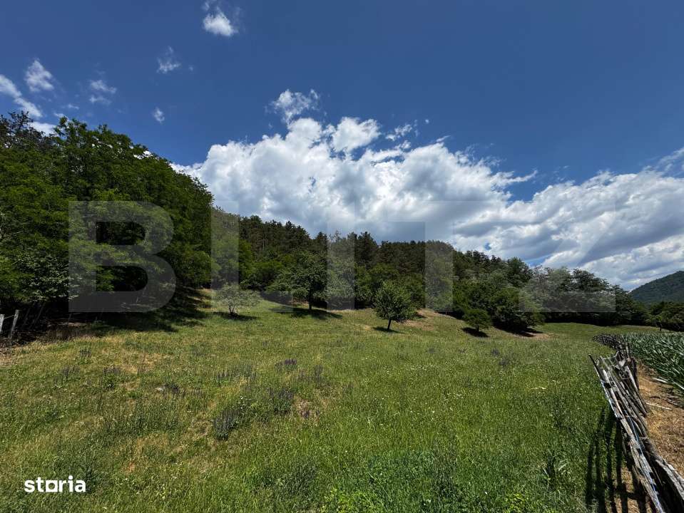 Casa cu 6000 mp teren, Poiana Ampoiului - Metes - Imagine principală: 3/9