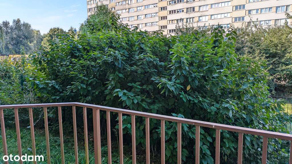 Na sprzedaż duży lokal pod działalność.-19